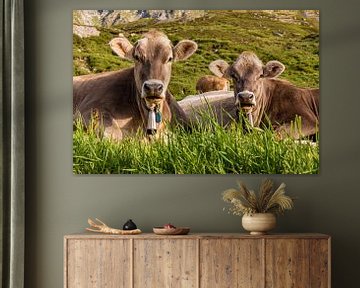 Rinder auf der Alm in den Schweizer Alpen von Werner Dieterich
