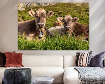 Kühe auf der Alm in den Schweizer Alpen von Werner Dieterich