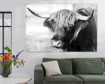 Porträt einer schottischen Highlander-Kuh in schwarz-weiß / Rindfleisch von KB Design & Photography (Karen Brouwer)