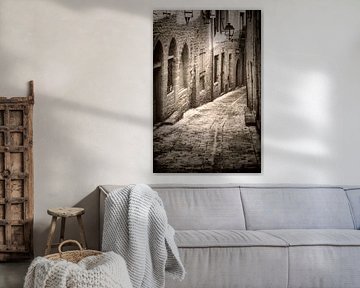 Alley in Sarlat-la-Caneda by Jan van der Knaap