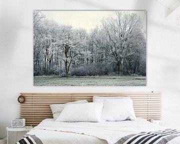 Winterlandschap met bomen met rijp van Trinet Uzun