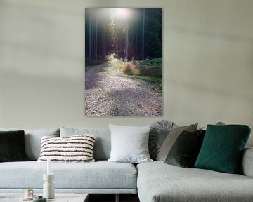 entering the swedish woods