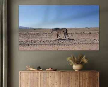 Wilder Mustang in Namibia von Celine Seelemann