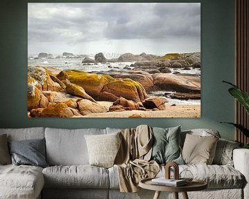 Rugged coast South Africa by Corinne Welp