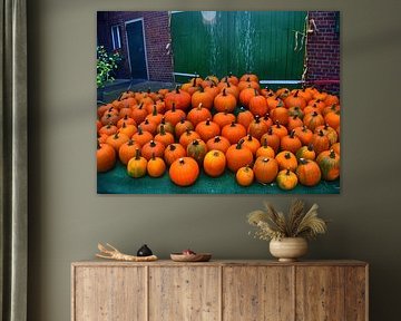 Pumpkin harvest