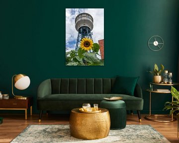 Sonnenblume und der Wasserturm in Goes