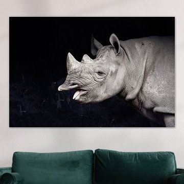 Nashorn