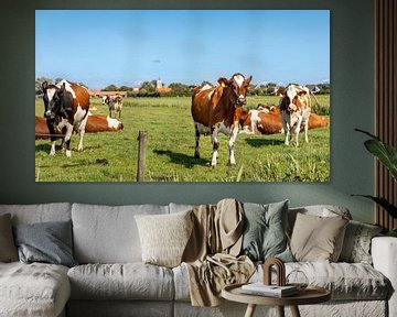 Bruine koeien met kerkje op de achtergrond van Percy's fotografie