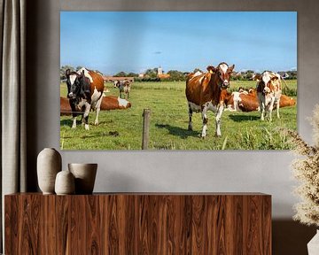 Bruine koeien met kerkje op de achtergrond van Percy's fotografie