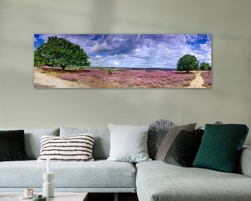 Collines de bruyères en fleurs à la Posbank dans le parc national Veluwezoom sur Sjoerd van der Wal Photographie