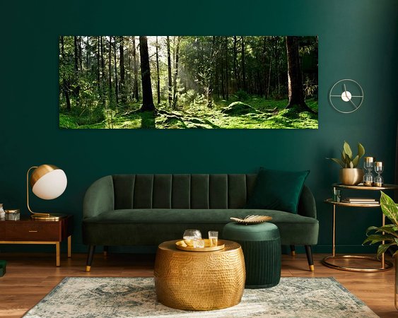 Aperçu de la chambre