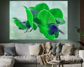 Green orchid, gevlekte groene orchidee van Rietje Bulthuis