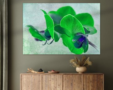 Green orchid, gevlekte groene orchidee van Rietje Bulthuis