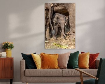 Jong olifant onder de poten van moeder olifant van Marcel Derweduwen