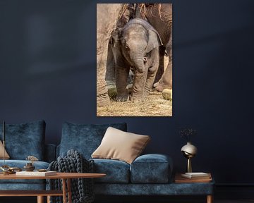 Jong olifant onder de poten van moeder olifant van Marcel Derweduwen