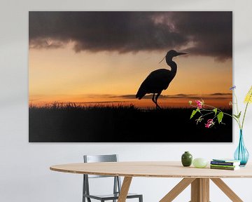 Heron at sunrise by Monique Visser