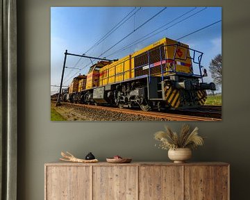 Strukton Rail MaK G 1206 freight train locomotive front view on a railroad track in the country duri by Sjoerd van der Wal