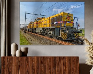 Güterzuglokomotive - Vorderansicht auf einer Bahnstrecke von Sjoerd van der Wal
