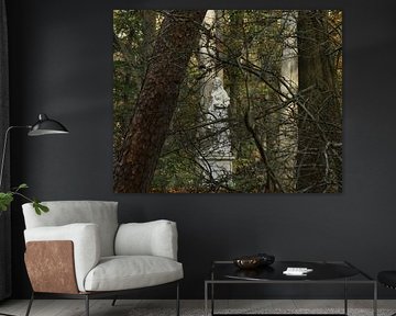 Lady in the wood