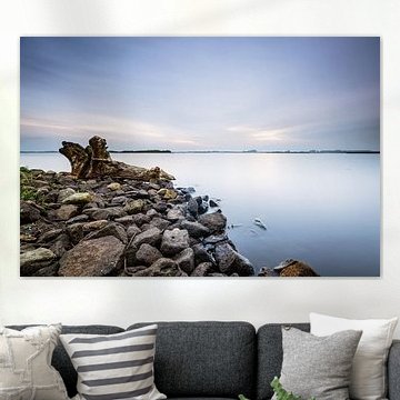 Tree stump 't Roegwold