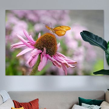 Passionsblumen-Schmetterling