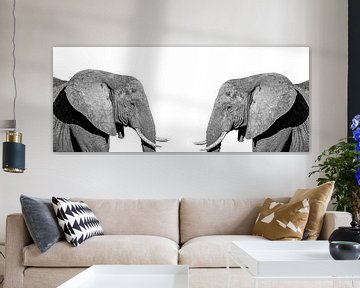 Elephants by Hennie Zeij