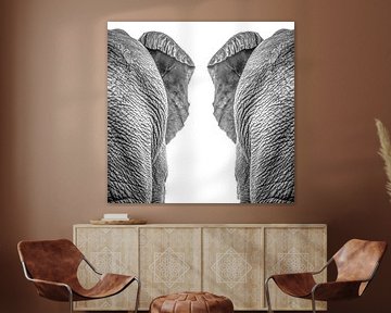 Elefanten von Hennie Zeij