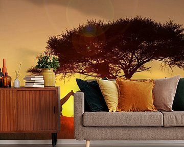 LPH 71154563 Giraffes under a tree at sunset, Namibia by BeeldigBeeld Food & Lifestyle