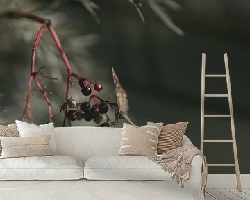 Butterfly sits on berries by Steven Dijkshoorn