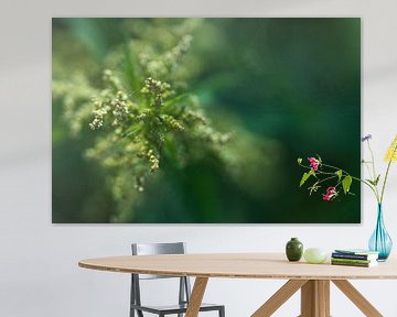 Plant on canvas canvas by Steven Dijkshoorn