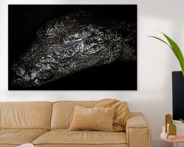 Le portrait d'un crocodile sur Steven Dijkshoorn