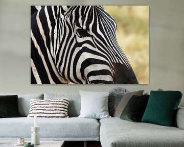 Close up van een zebra, Ngorongoro, Tanzania, Afrika van Henny Hagenaars