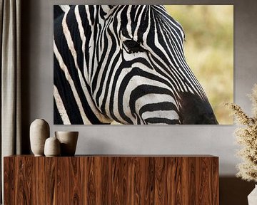 Close up of a zebra, Ngorongoro, Tanzania, Africa by Henny Hagenaars