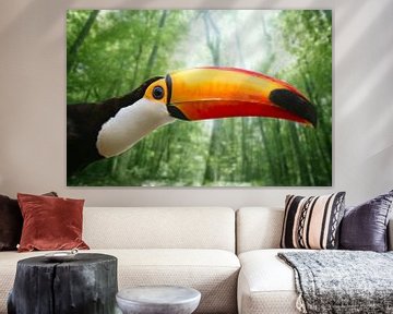 Close up of a Toucan by Henny Hagenaars