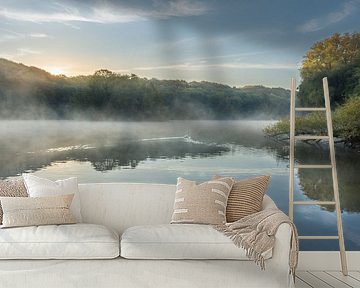 Zonsopkomst bij de Cranenweyer met zwaan en mist van John van de Gazelle fotografie