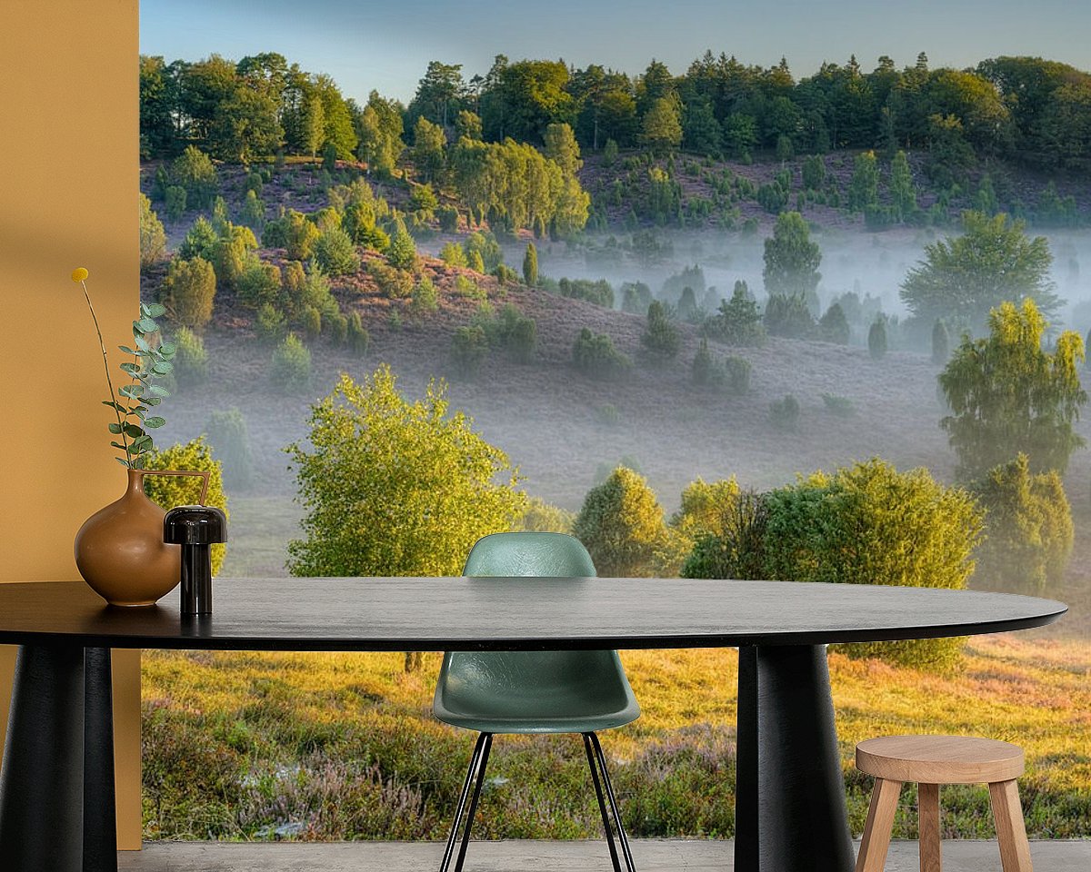 Raumvorschau