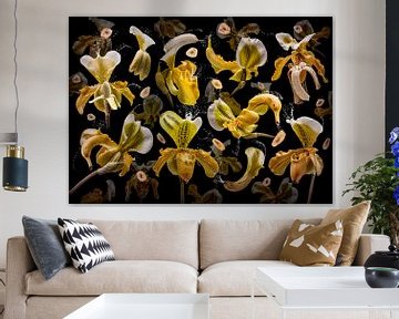 Banana orchidea sur Olaf Bruhn