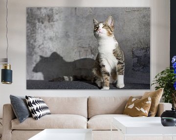 Nieuwsgierige kat van Joost Winkens