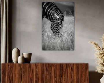 Zebra zwart wit van Dave Oudshoorn