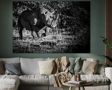 Black rhino in black and white by Dave Oudshoorn