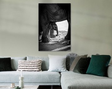 Elefantenbaby bei der Mama in schwarz-weiß von Dave Oudshoorn