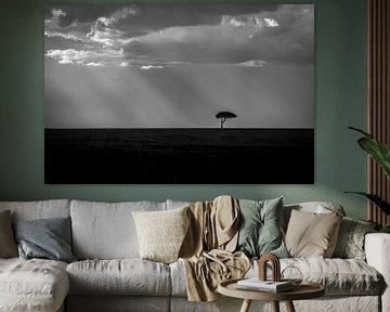 Landschaft Masai Mara Sonnenstrahlen und Baum in Schwarz-Weiß von Dave Oudshoorn