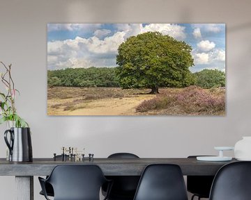 Buche auf der blühenden Heide im August