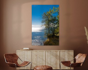 Rügen - Herfst aan de steile kust in Jasmund Nationaal Park