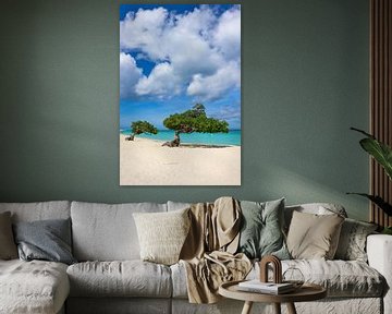 Waanzinnige kleuren op een Caribisch strand