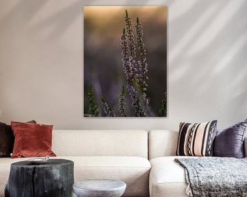 Heather by Diane van Veen