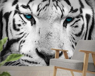 Prachtige blauwe ogen van een Bengaalse tijger van KC Photography