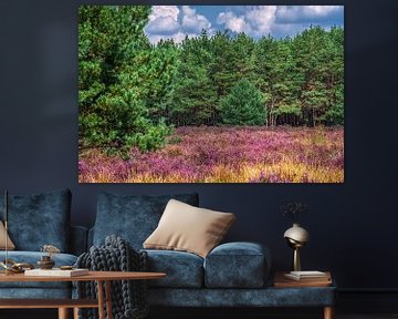 Violettes Heidekraut, grüne Kiefern und ein blauer Himmel in der Weerterheide von Jolanda de Jong-Jansen