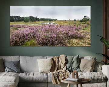 Heide-Landschaft von Hennie Zeij