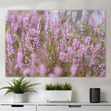 Art de la bruyère en fleur